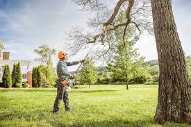 Best Lawn Drainage Solutions  in Farmington, IL